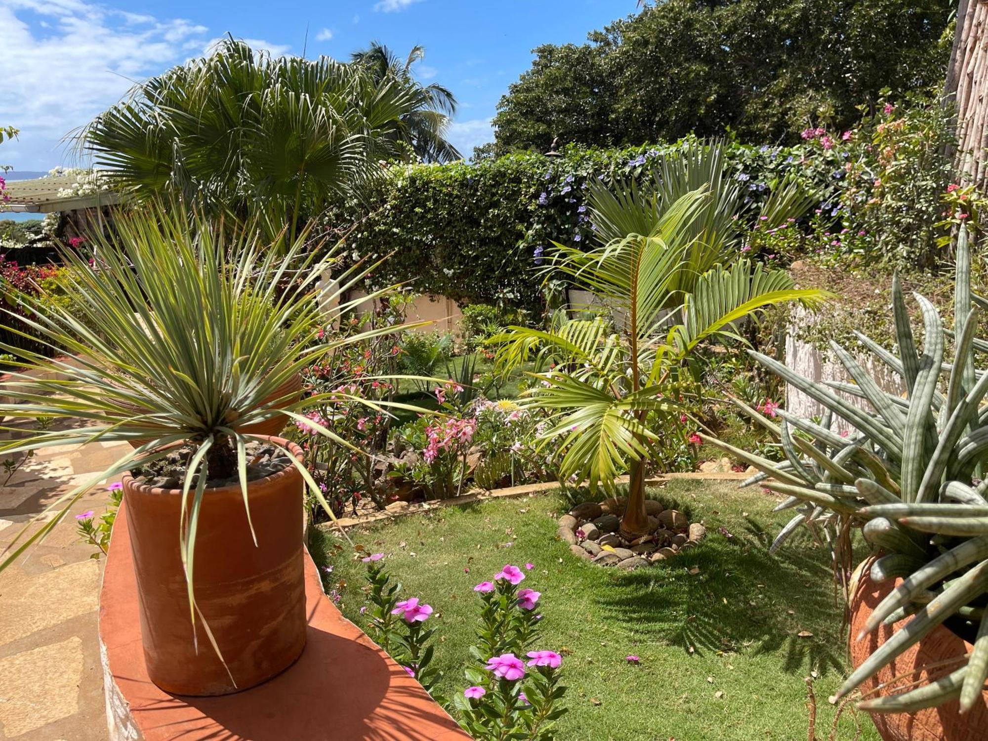 Le Jardin Exotique Hotel Antsiranana Екстер'єр фото