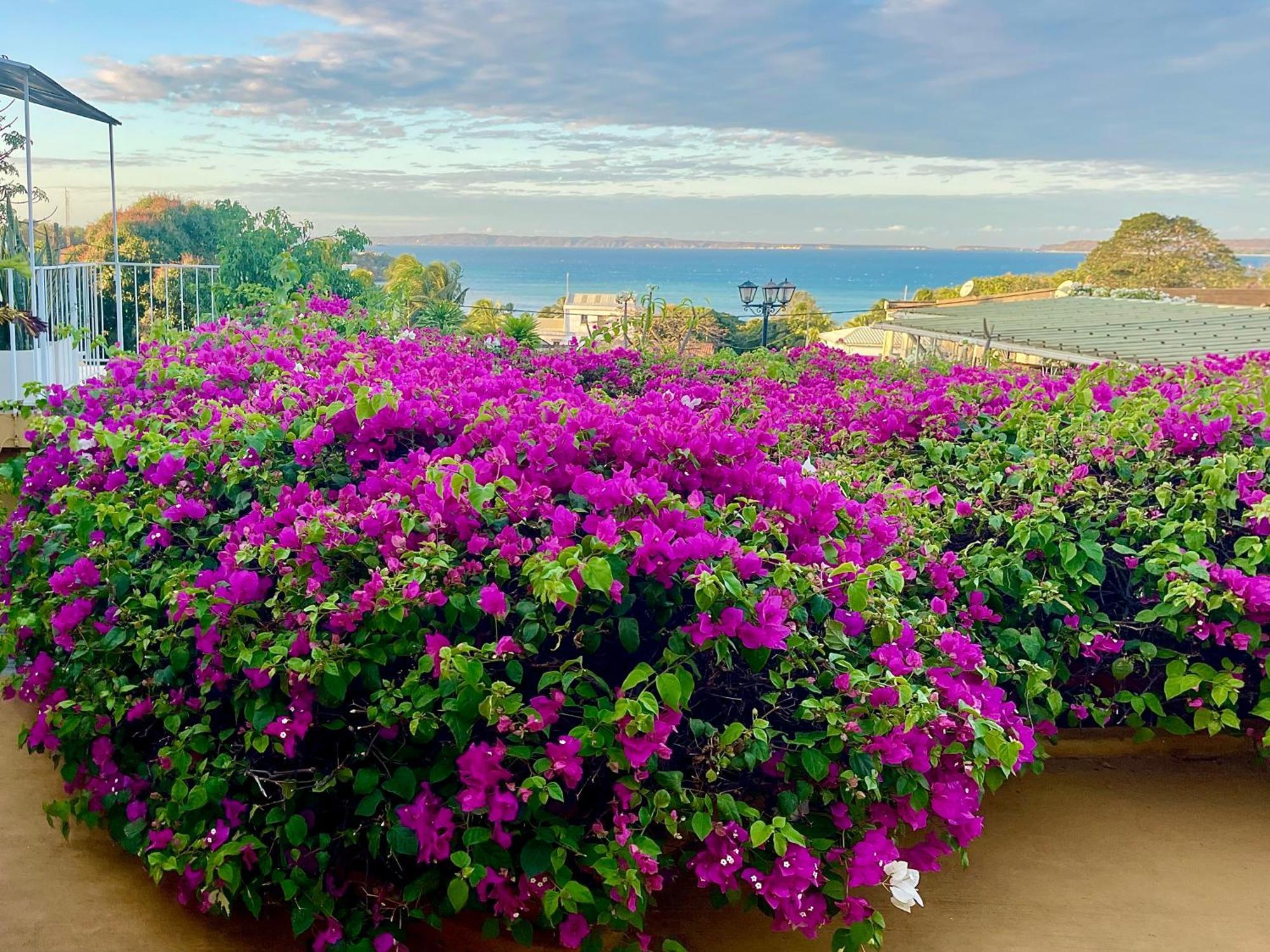 Le Jardin Exotique Hotel Antsiranana Екстер'єр фото