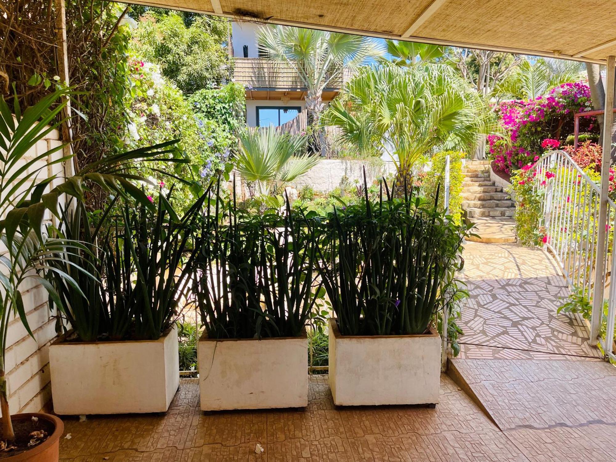 Le Jardin Exotique Hotel Antsiranana Екстер'єр фото