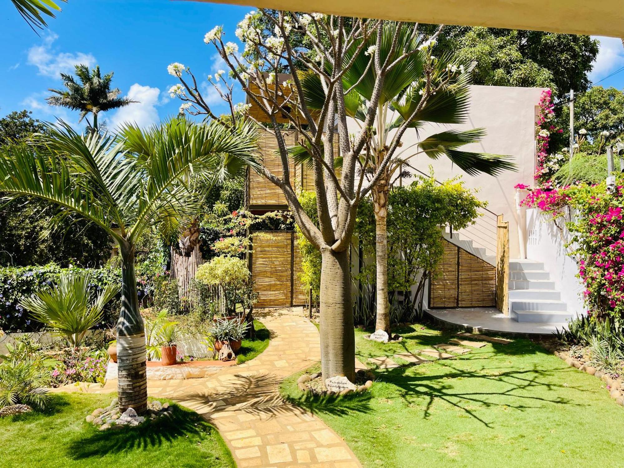 Le Jardin Exotique Hotel Antsiranana Екстер'єр фото