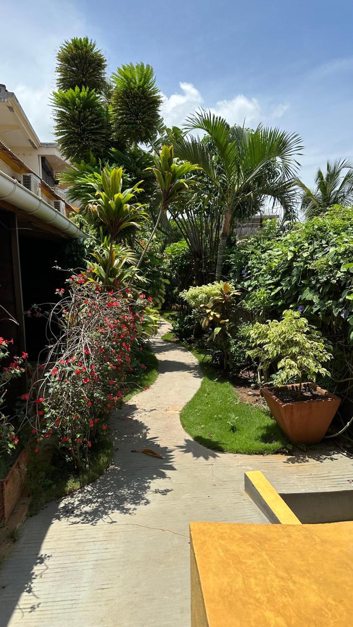 Le Jardin Exotique Hotel Antsiranana Екстер'єр фото